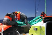 Volvo Ocean Race : Etape 1 - Jour 25 : Un final laborieux pour Groupama 4. Publié le 29/11/11